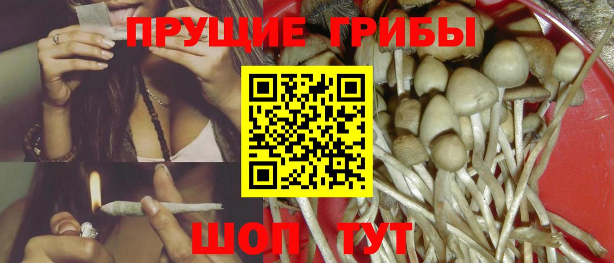 Кувандык  купить  цена  Вход с VPN  Псилоцибиновые грибы мицелий  Псилоцибиновые грибы мицелий 